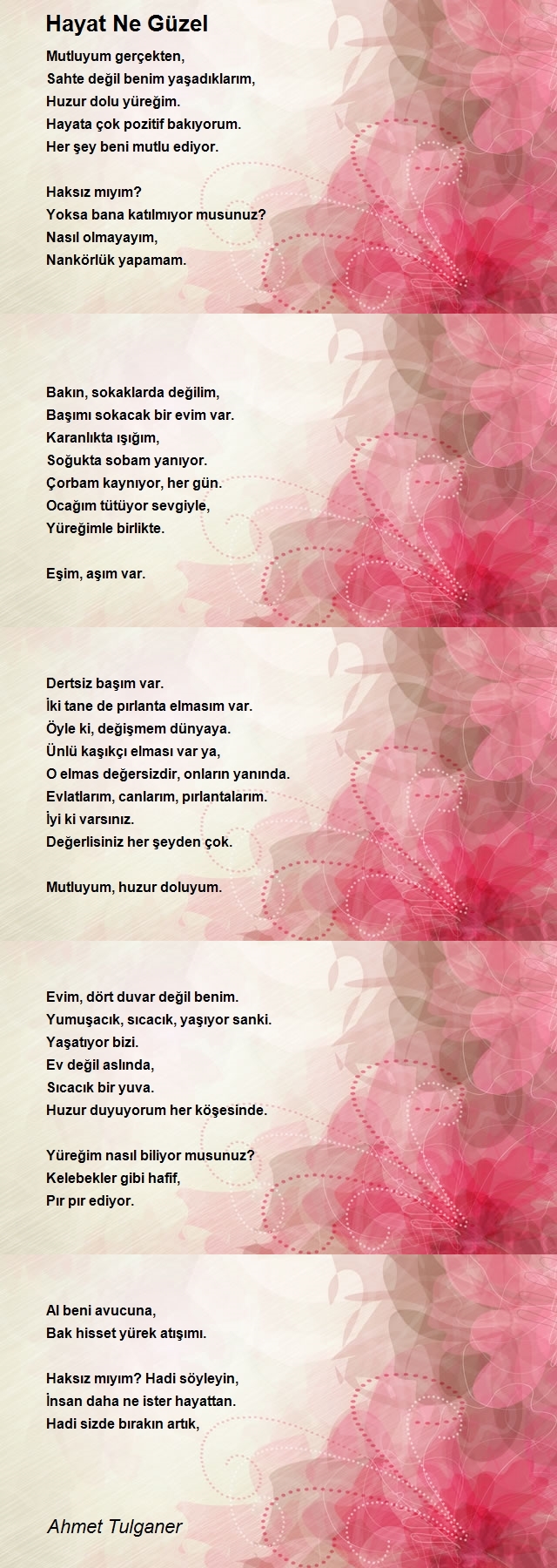 Ahmet Tulganer
