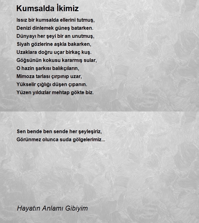 Hayatın Anlamı Gibiyim