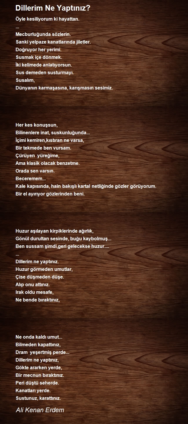 Ali Kenan Erdem