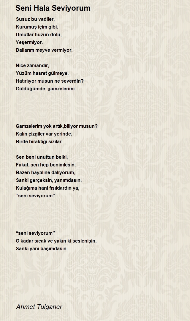 Ahmet Tulganer