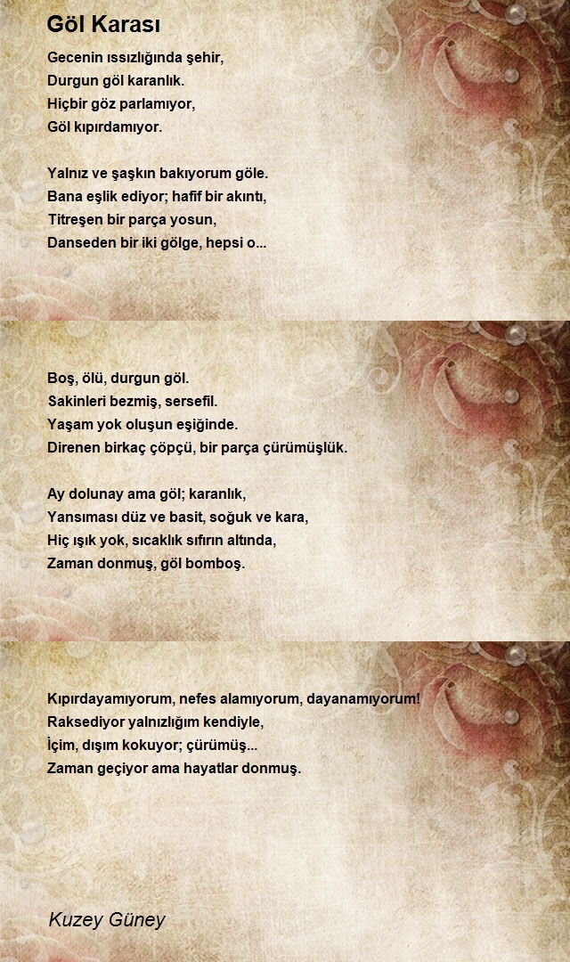 Kuzey Güney