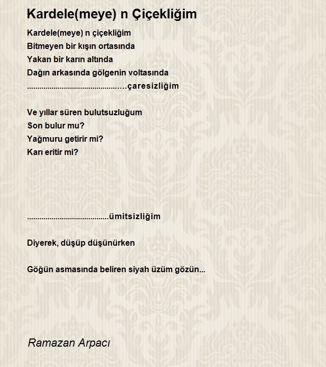 Ramazan Arpacı