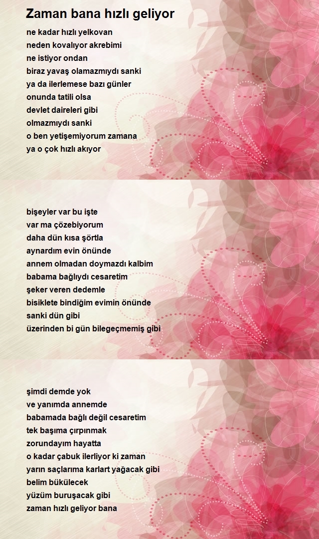 Sinan Tekdir
