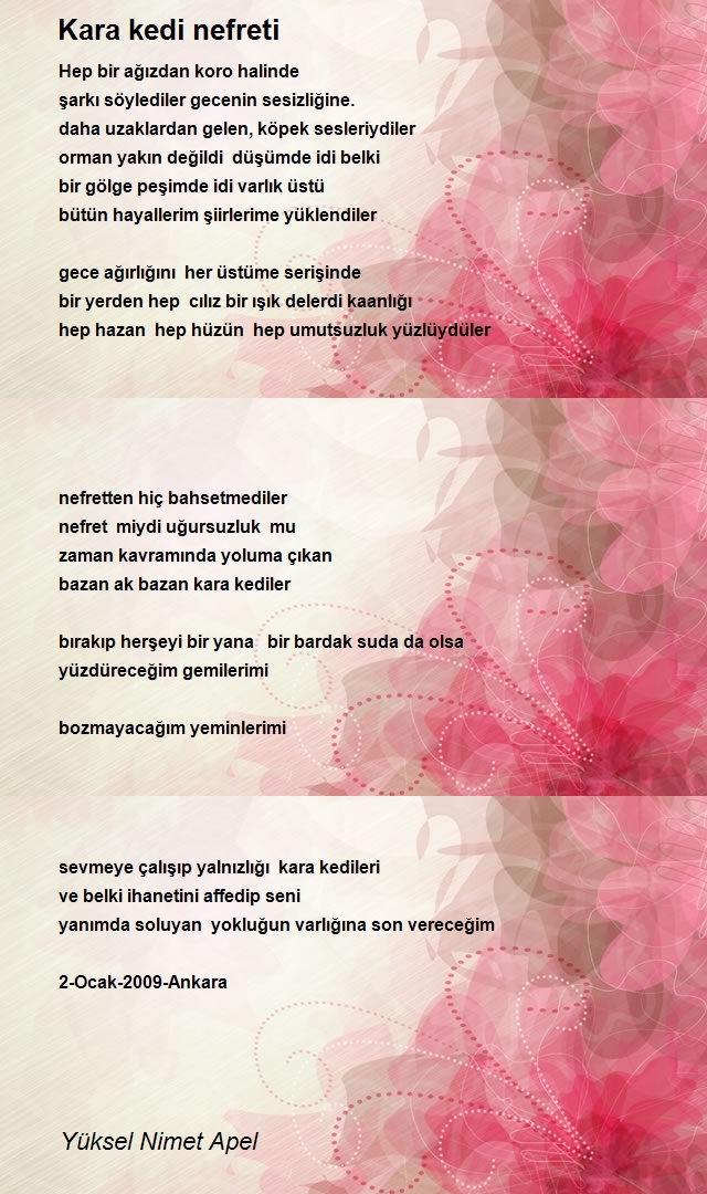 Yüksel Nimet Apel