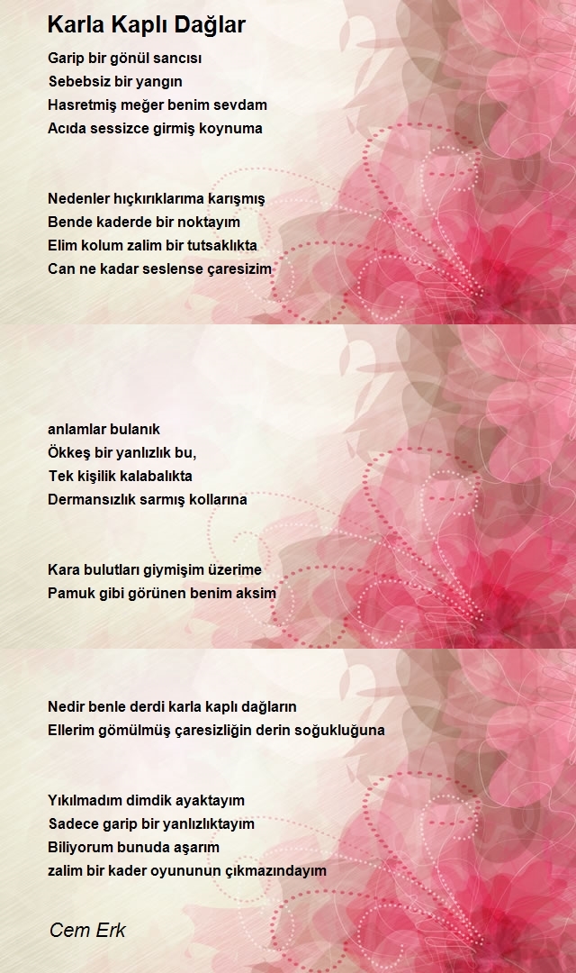 Cem Erk