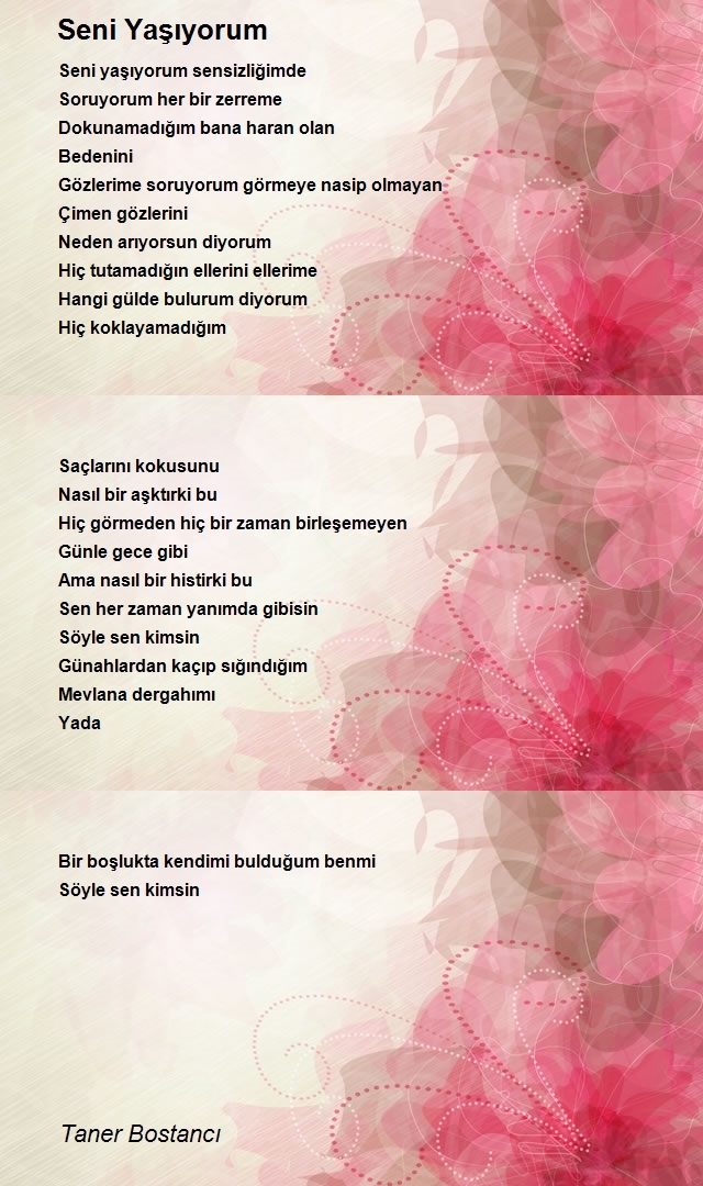 Taner Bostancı