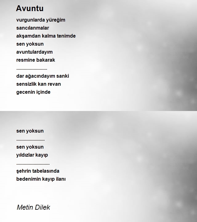 Metin Dilek