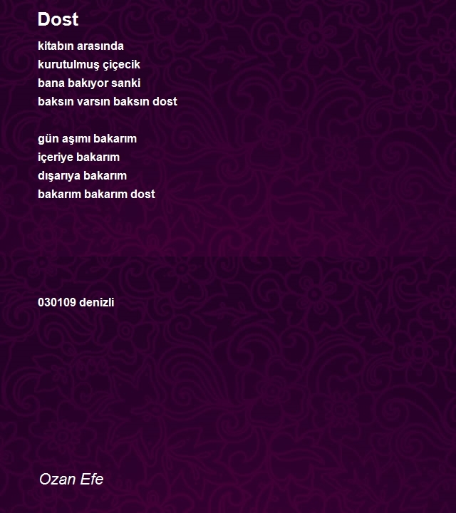 Ozan Efe