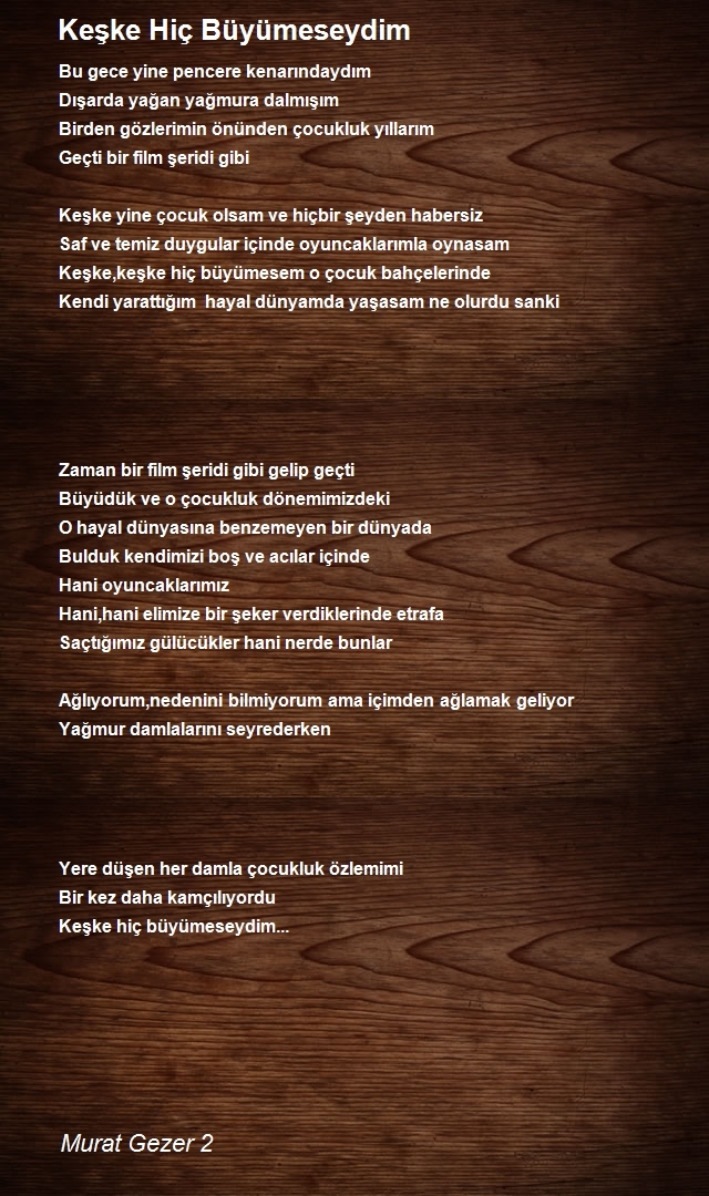 Murat Gezer 2