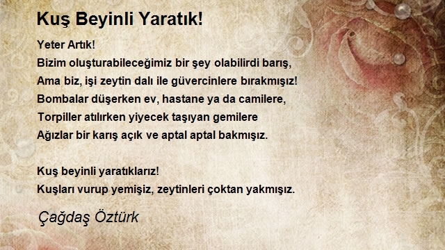 Çağdaş Öztürk