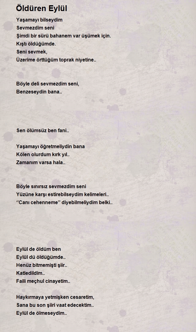 Zeynep Ergün