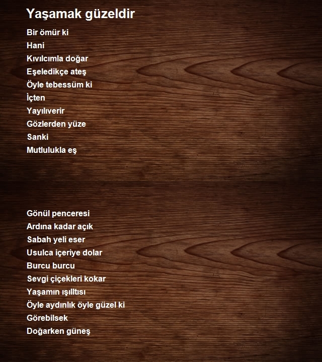 Neşe Kızılyar