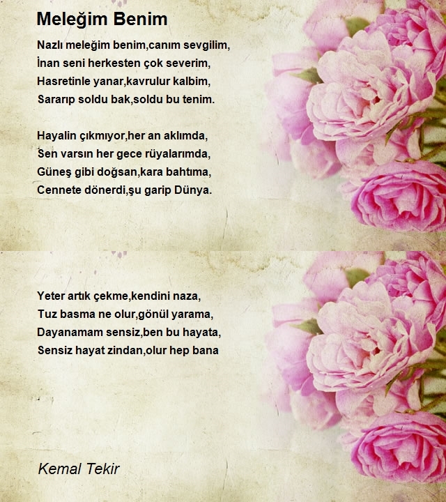 Kemal Tekir