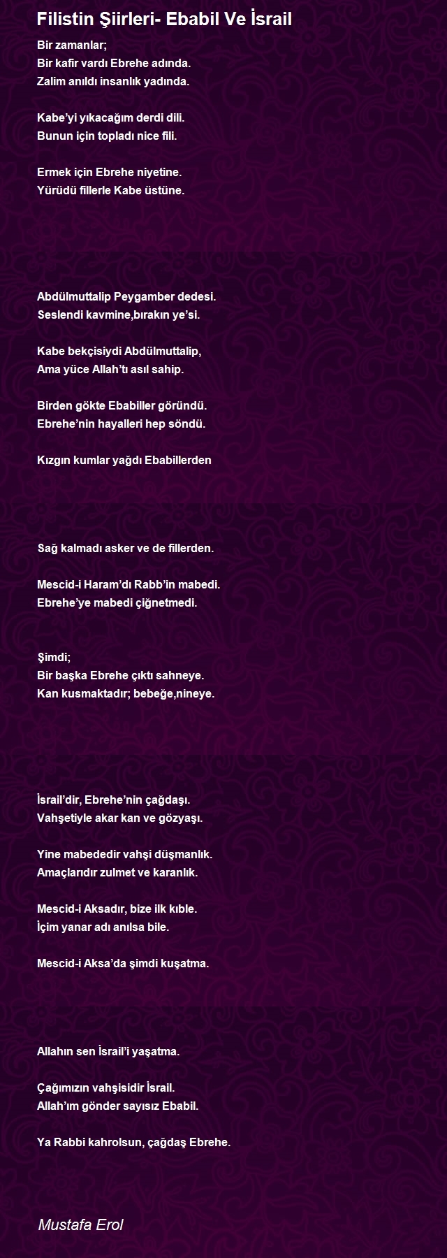 Mustafa Erol