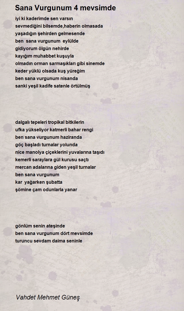 Vahdet Mehmet Güneş