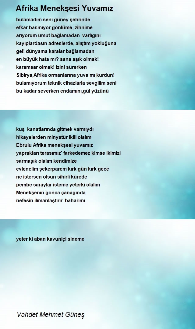 Vahdet Mehmet Güneş