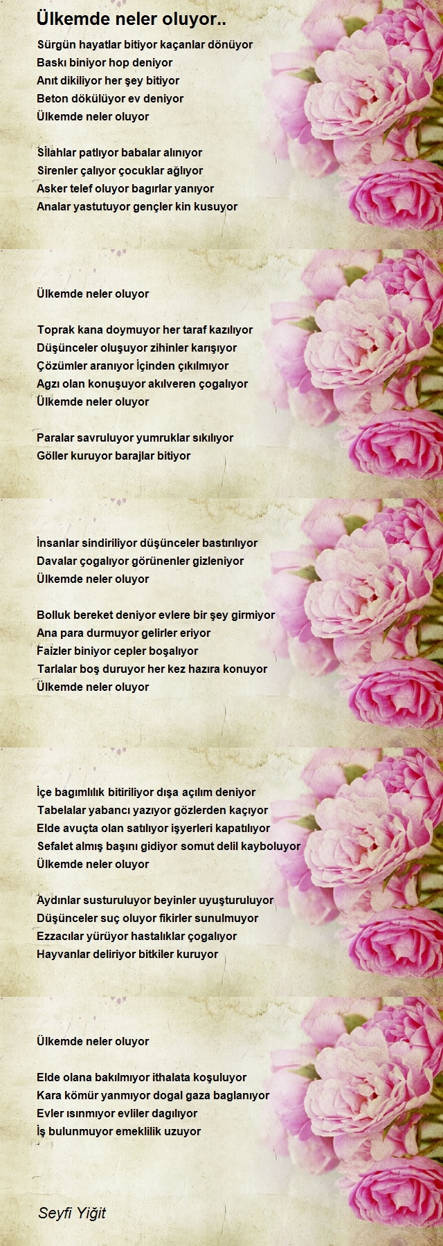 Seyfi Yiğit