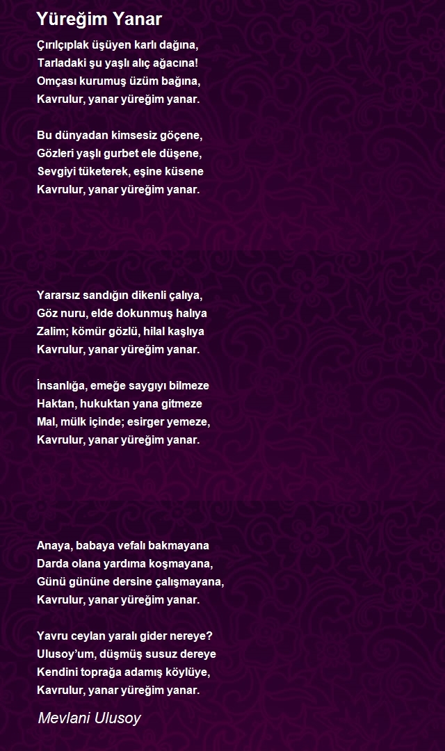 Mevlani Ulusoy