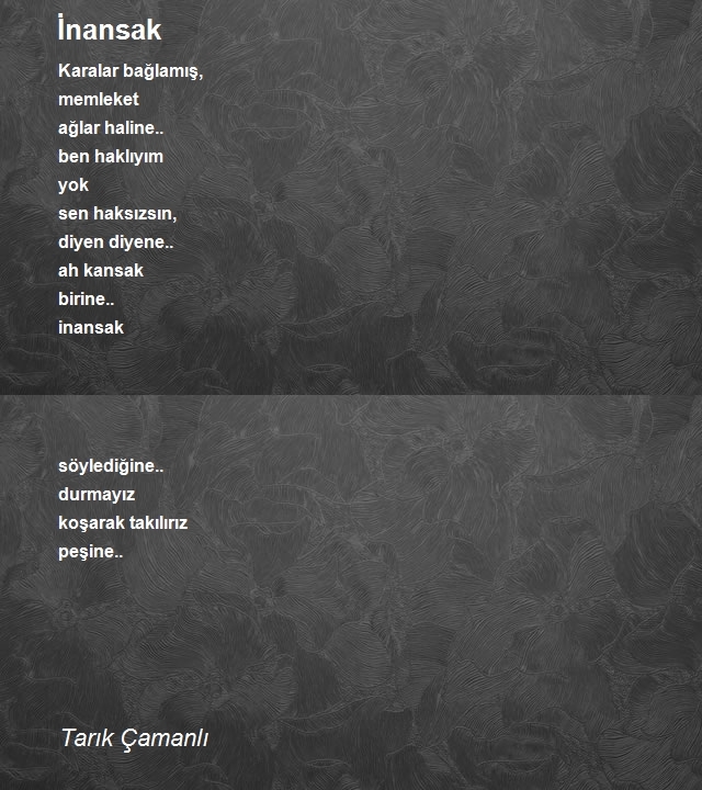 Tarık Çamanlı
