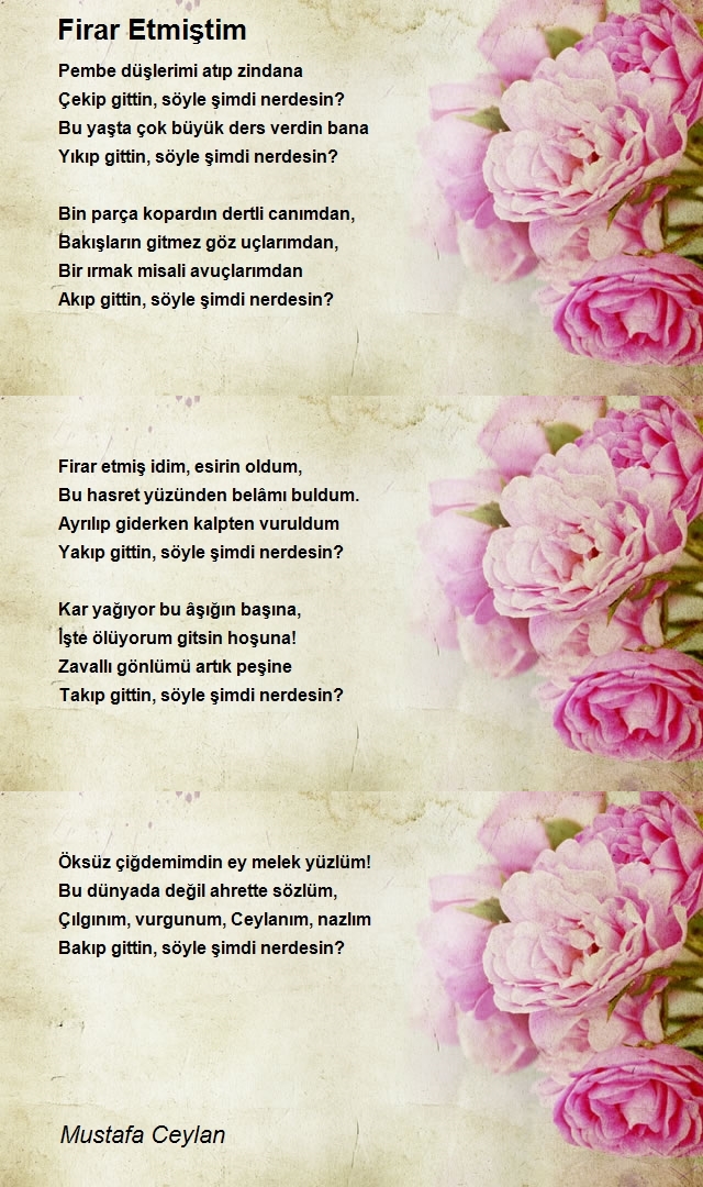 Mustafa Ceylan