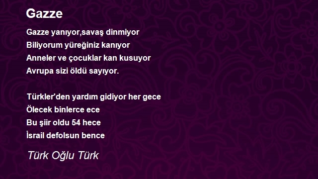 Türk Oğlu Türk