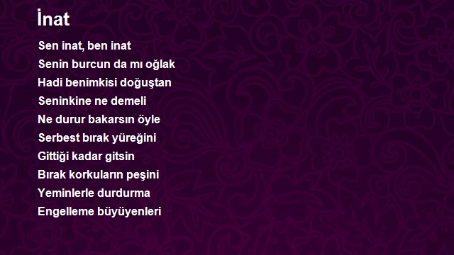 Mehmet Yalçın 2