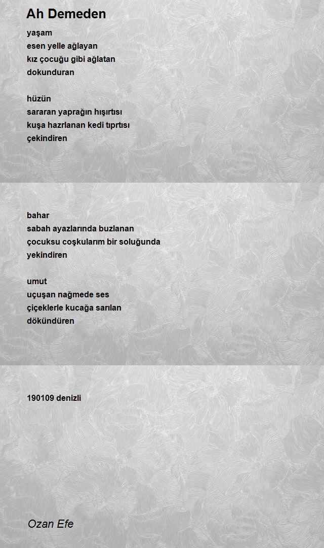 Ozan Efe