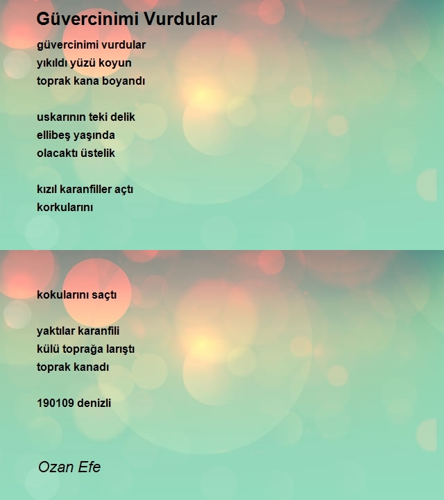 Ozan Efe