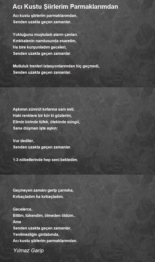 Yılmaz Garip