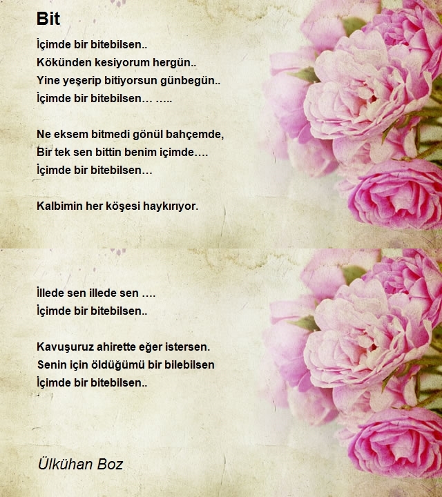 Ülkühan Boz