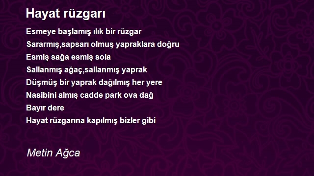 Metin Ağca