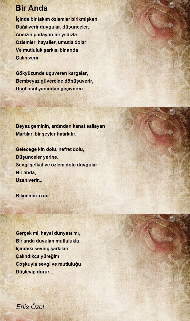 Enis Özel