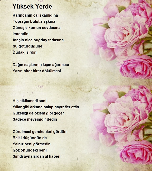 Nuh Uçar
