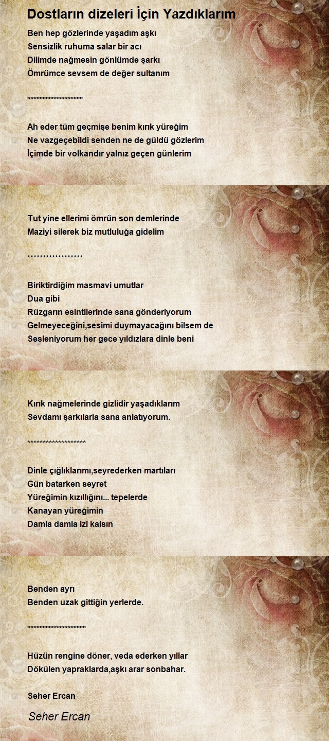 Seher Ercan