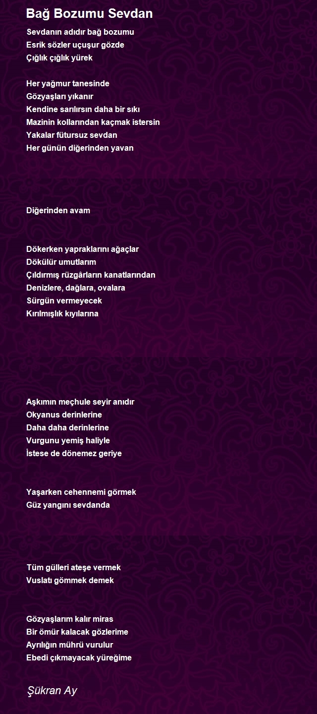 Mavi Umay Şükran Ay