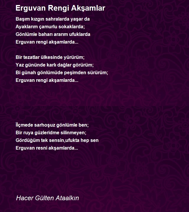Hacer Gülten Ataalkın