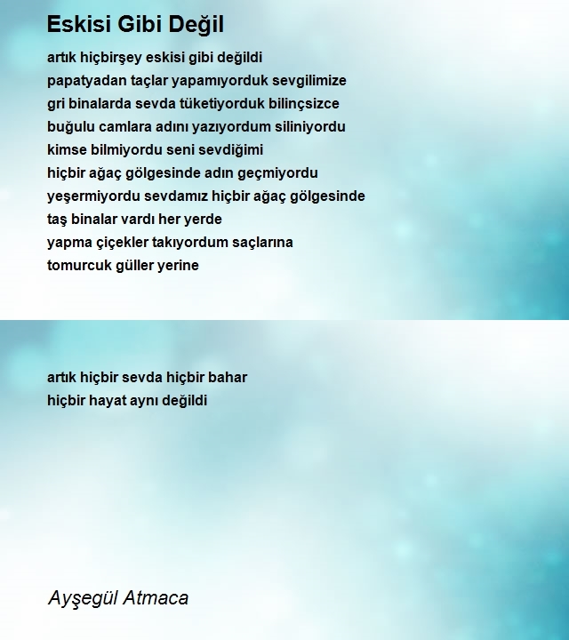 Ayşegül Atmaca