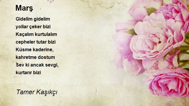 Tamer Kaşıkçı