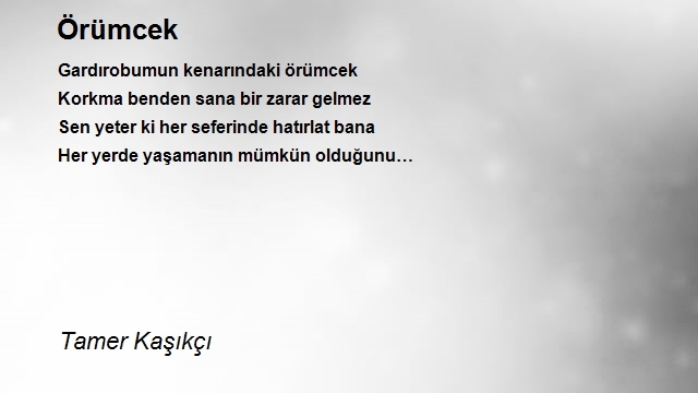 Tamer Kaşıkçı