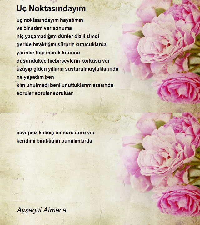 Ayşegül Atmaca