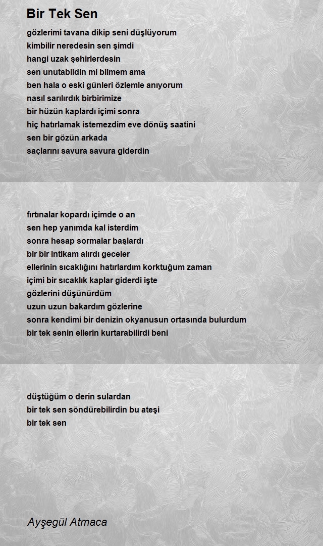 Ayşegül Atmaca