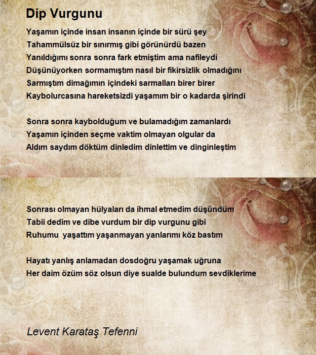 Levent Karataş Tefenni