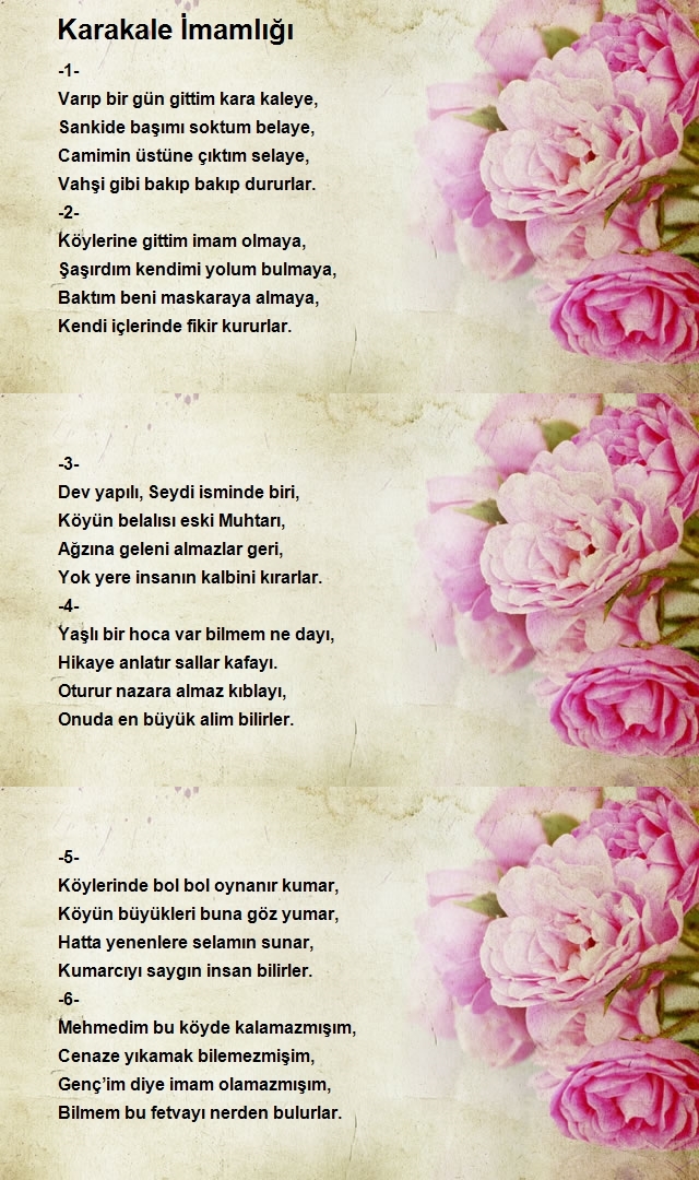 Hafız Mehmet Aydın
