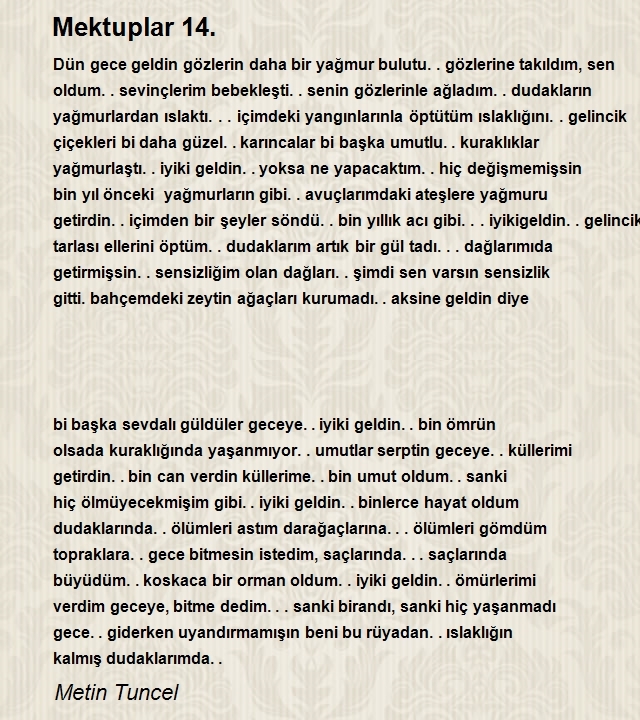 Metin Tuncel