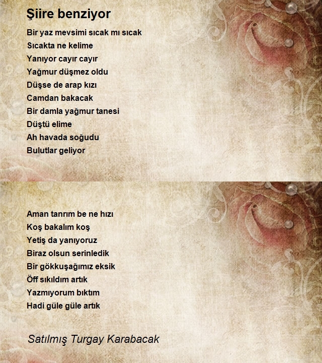Satılmış Turgay Karabacak