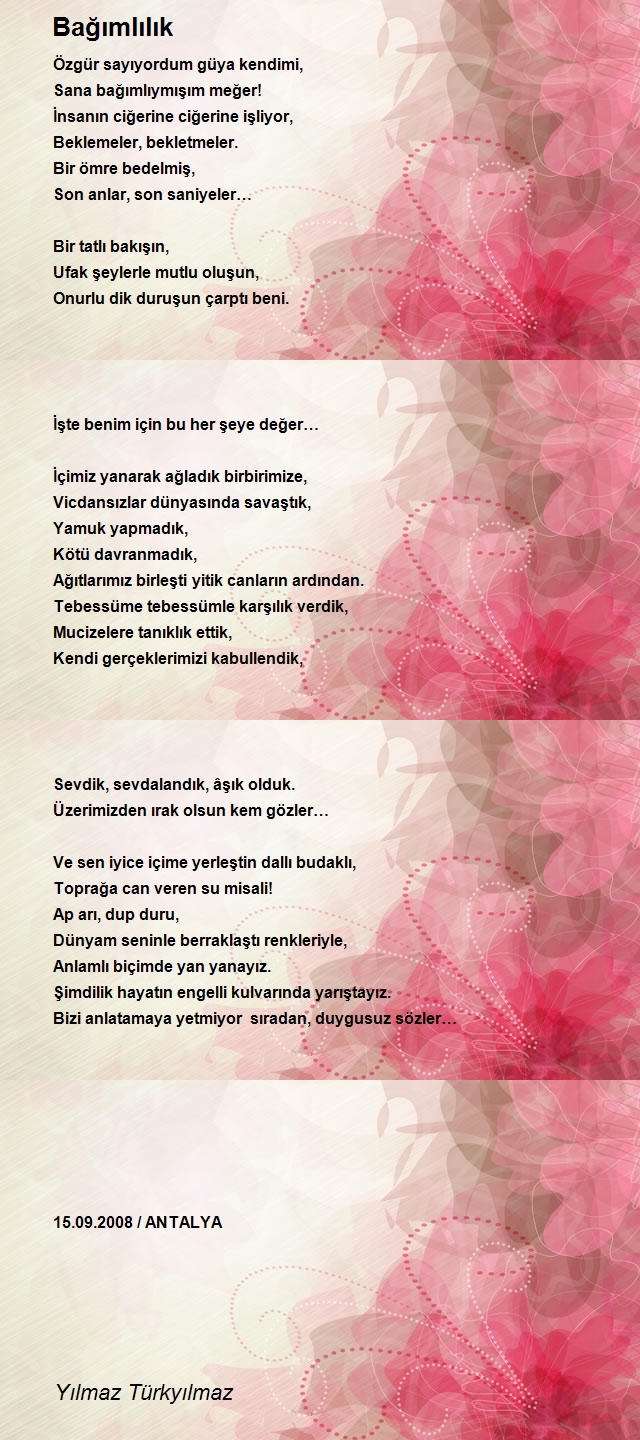 Yılmaz Türkyılmaz