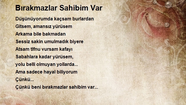 Cansu Özyücel