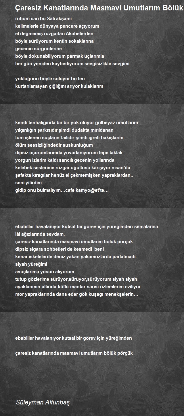 Süleyman Altunbaş