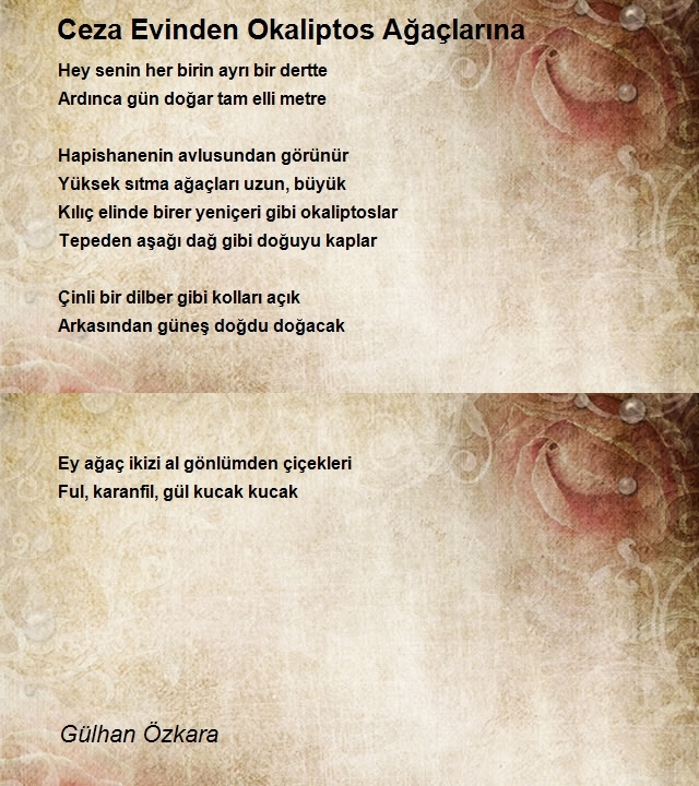 Gülhan Özkara