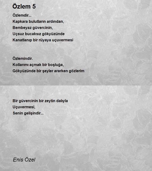 Enis Özel